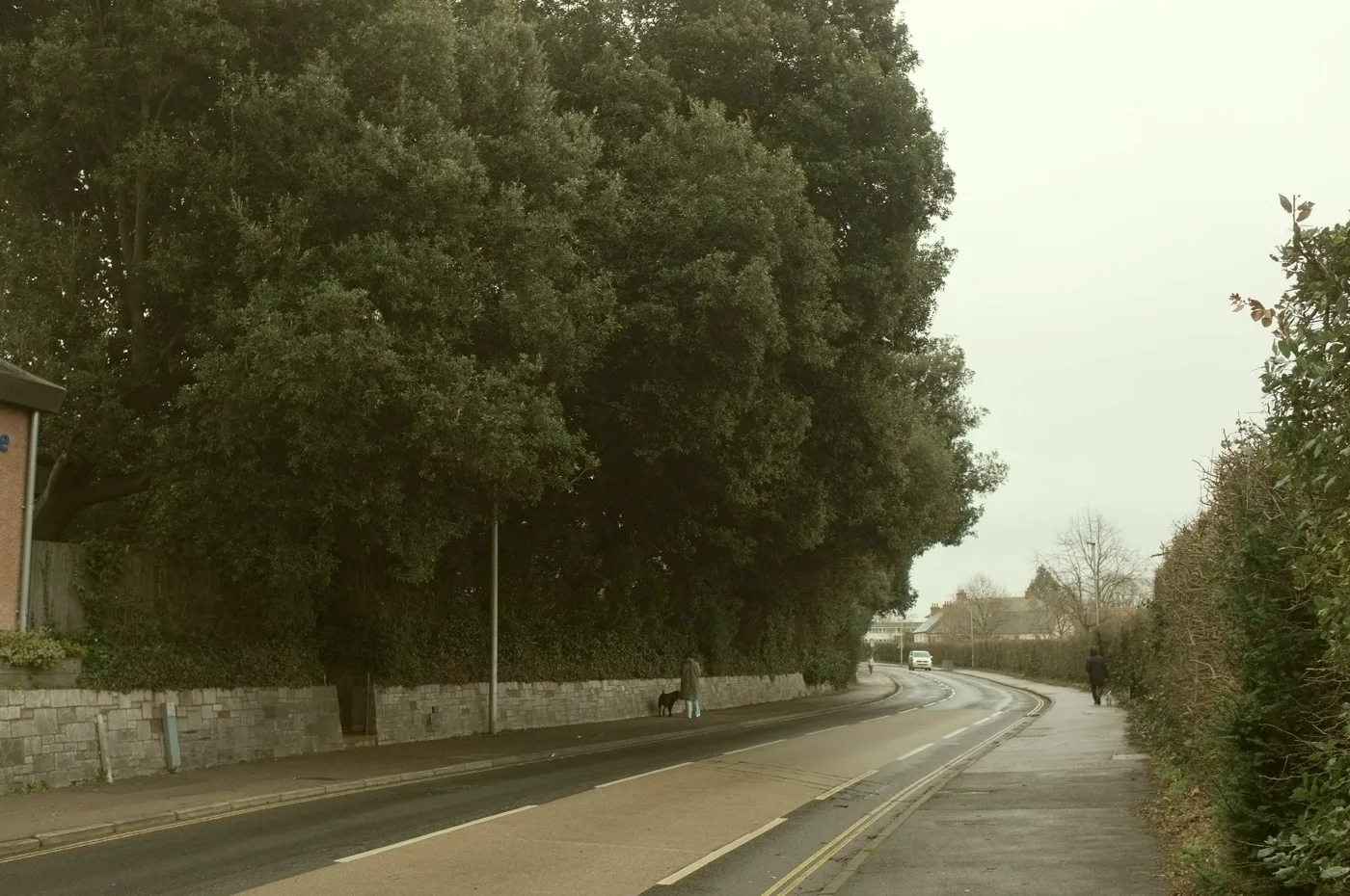 Dryden Road, Exeter