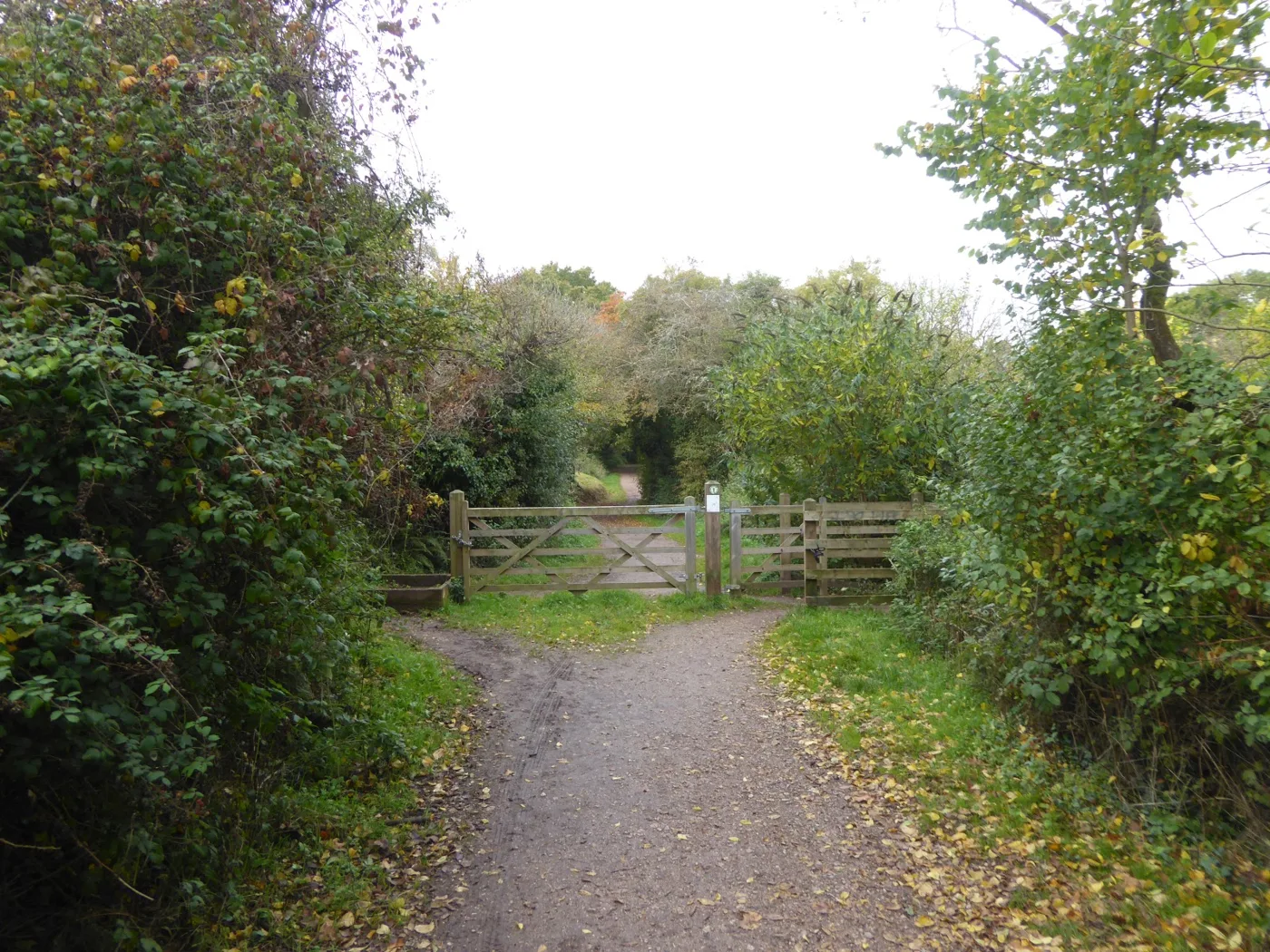 The south entrance to Mincinglake Valley Park, photographed before the fire.