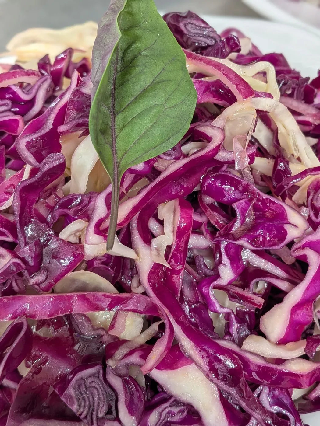 Shredded red and white cabbage with a single green leaf on top